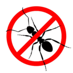 no ants