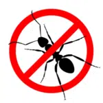 no ants