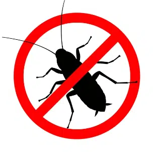 no roaches